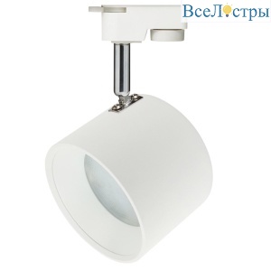 Трековый однофазный светильник ЭРА TR15 GX53 WH/SL Б0048545