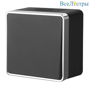 Выключатель одноклавишный влагозащищенный Werkel Gallant 4690389164040 W5010235