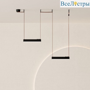 Комплект ременной трековой системы Denkirs Belty SET DK55SET23-01-BR