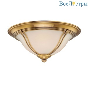 Потолочный светильник Cloyd Gaul 10239