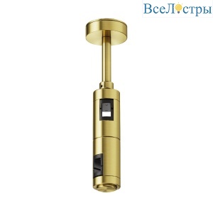 Крепление потолочное Short двойное Maytoni Flarity TRA156C-D1-BS