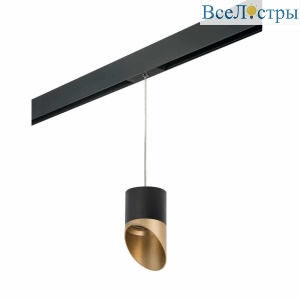 Трековый светильник Lightstar Rullo (213487+595887+201490) PRORP3487190