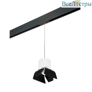 Трековый светильник Lightstar Rullo (213486+595887+202487) PRORP3486487