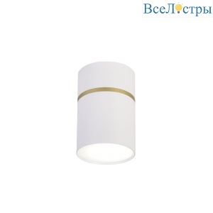 Потолочный светодиодный светильник Favourite Dunia 3067-1C