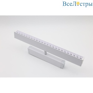 Трековый магнитный светильник Aployt Magnetic track 220 APL.0202.10.18