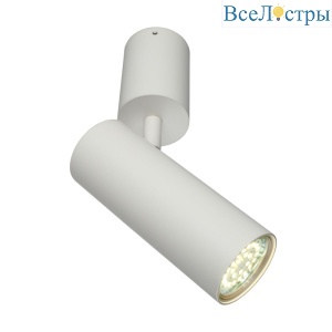 Настенно-потолочный светильник Aployt Berenis APL.007.02.01