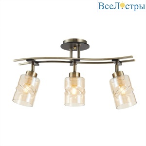 Спот Citilux CL142134