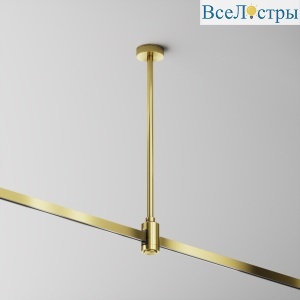 Крепление потолочное с вводом питания Maytoni Flarity TRA158C-B1-BS