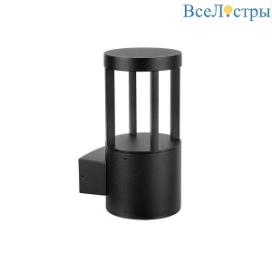 Уличный настенный светильник Arte Lamp Carcassa A4666AL-1BK