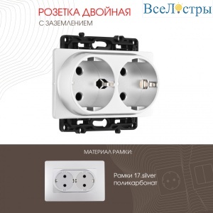Розетка двойная с заземлением Arte Milano 217.40-2.silver