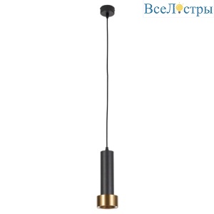 Подвесной светильник Arte Lamp Ran A3147SP-1BK