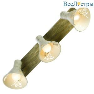Спот Lussole Lgo MCCONNICO GRLSP-8059