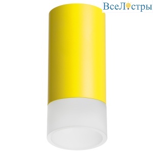 Накладной светильник Lightstar Rullo R43331 (214433+202431)