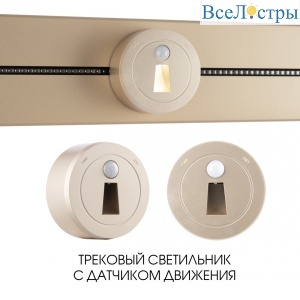 Трековый светильник Arte Milano Am-track-sockets 397953TLS/LWS Gold