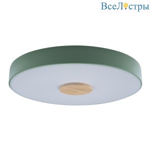 Потолочный светодиодный светильник Loft IT Axel 10003/24 green