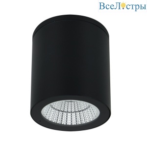 Уличный потолочный светильник Arte Lamp Torcular A1813PF-1BK