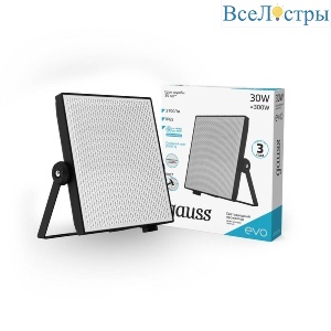 Прожектор светодиодный Gauss Evo 30W 6500К 687511330