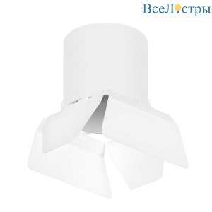 Потолочный светильник Lightstar Rullo (213486+202486) R3486486