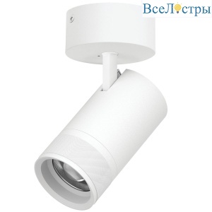 Накладной светильник 20-55G с адаптером Lightstar Canno Pro C4406SO