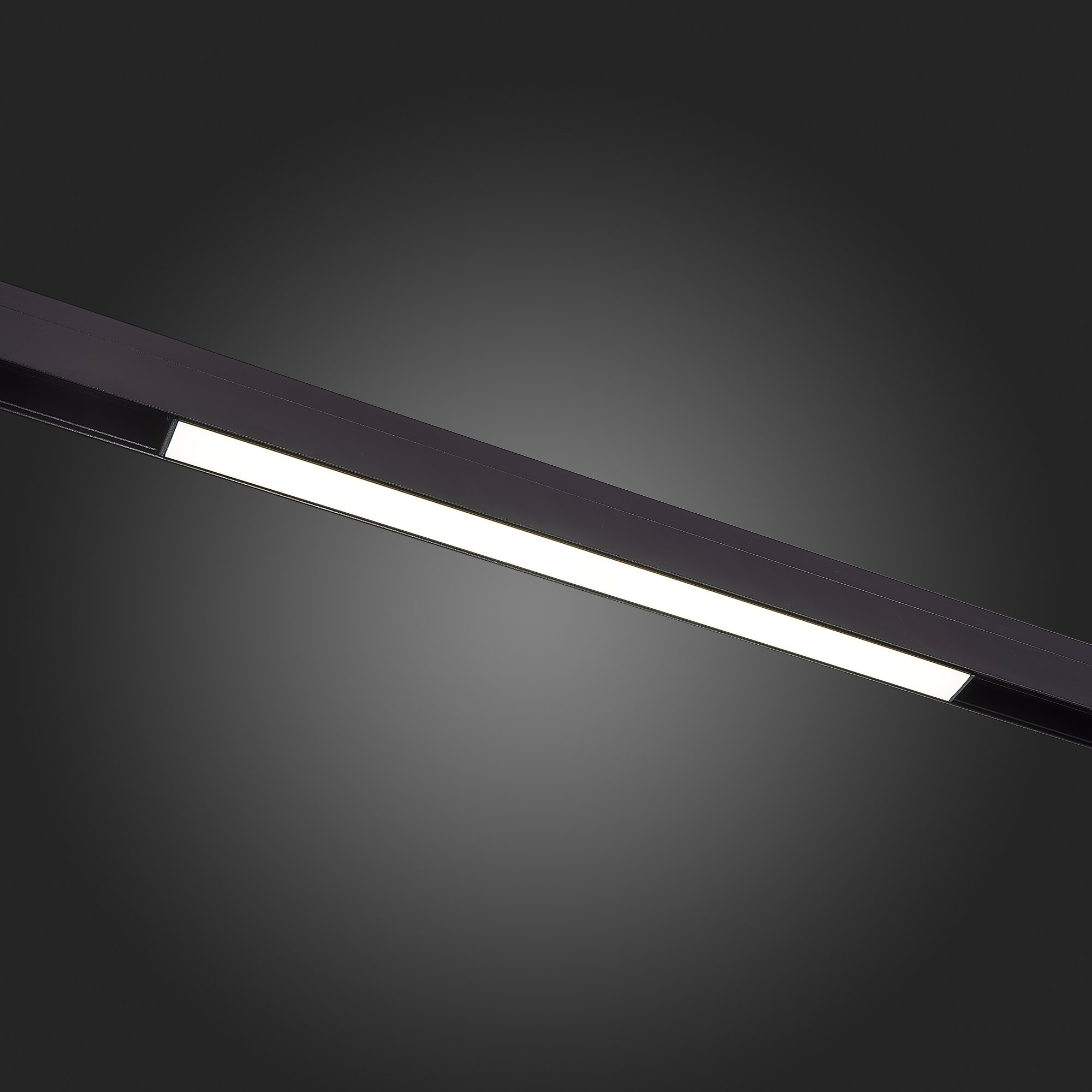 трековый светильник st luce standi st360.446.12