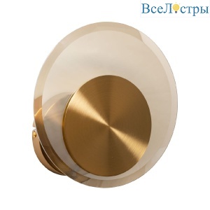 Настенный светильник MW-Light Илоника 451023201