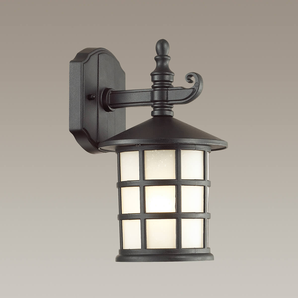 уличный настенный светильник odeon light house 4042/1w