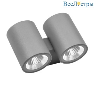 Уличный настенный светодиодный светильник Lightstar Paro 352692