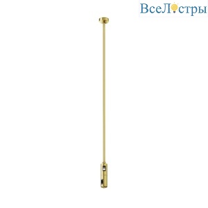 Крепление потолочное двойное Maytoni Flarity TRA159C-D1-BS