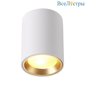 Потолочный светильник Odeon Light Aquana 4206/1C