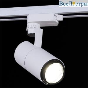 Трековый светильник Reluce 06712-9.3-001QY LED12W WT