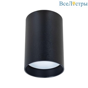 Потолочный светильник Arte Lamp Beid A1517PL-1BK
