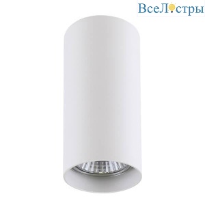 Накладной светильник Lightstar Rullo 214486