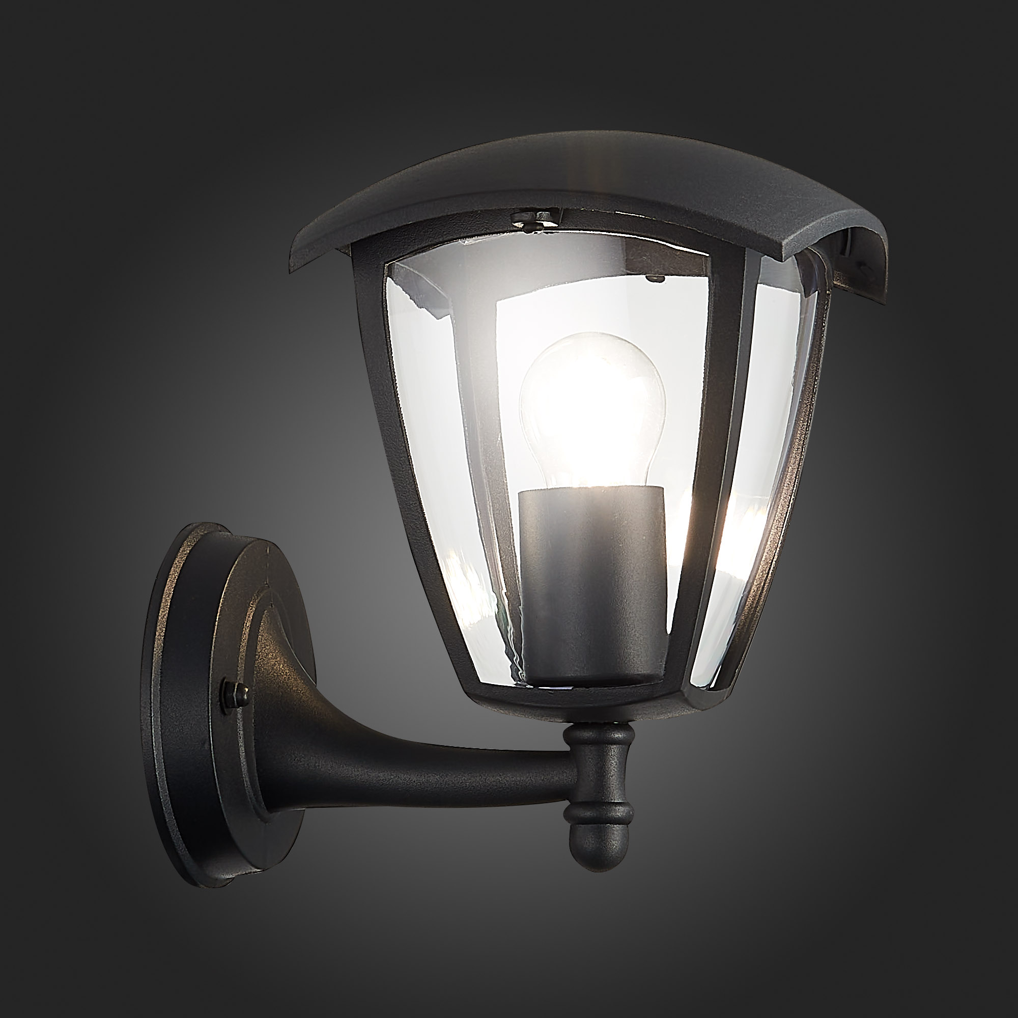уличный настенный светильник st luce sivino sl081.401.01