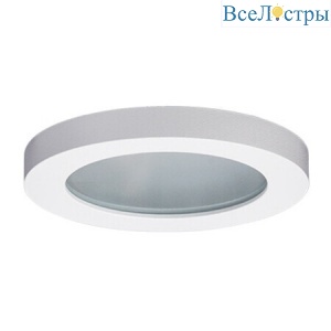 Влагозащищенный светильник ITALLINE DL 2633 white