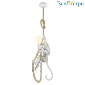 Подвесной светильник Lussole Loft Aya LSP-9993