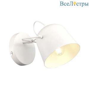 Бра Evoluce Blank SLE1805-501-01
