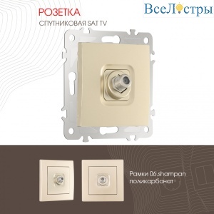 Розетка SAT TV Arte Milano 206.42-1.shampan