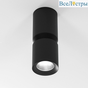 Потолочный светодиодный светильник Elektrostandard Kayo 25048/LED 12W 4000К черный a064726