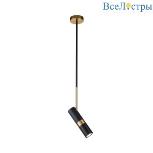 Подвесной светильник Favourite Light point 2997-1P
