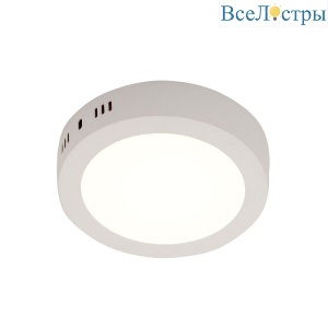 Потолочный светильник LEDtrec 316-12W