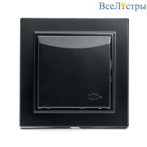 Розетка 2P+PE Stekker Эрна со шторками крышкой черный PST16-9012-03 39481