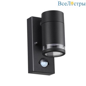 Уличный настенный светильник Odeon Light Motto 6605/1W
