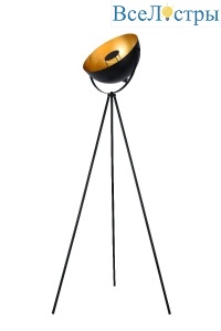 Торшер Toplight Charmaine TL1624F-01BG