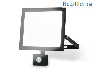 Прожектор Ambrella Light Street ST8118
