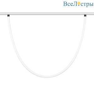 Трековый магнитный светильник Arlight MAG-ORIENT-TUBE-ELASTIC-2620-R30-L2500-35W Day4000 (BK, 360 deg, 48V) 041648