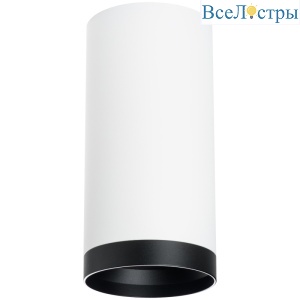 Накладной светильник Lightstar Rullo R64863487 (216486+203487)