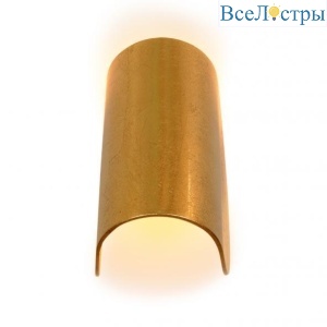Настенный светодиодный светильник iLedex Cute ZD8077-6W gold
