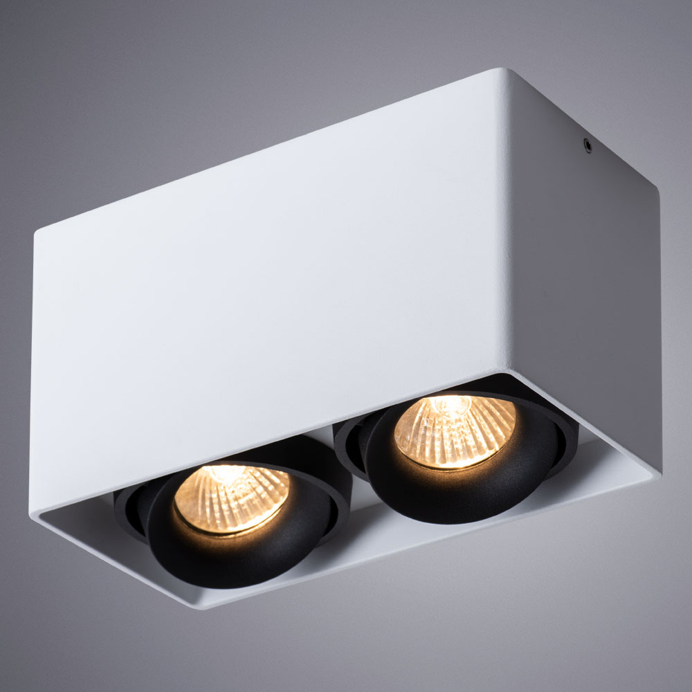 потолочный светильник arte lamp pictor a5654pl-2wh