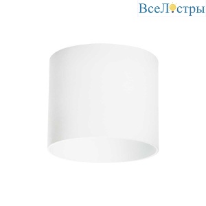 Потолочный светильник Lightstar Rullo 213486