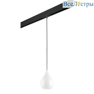 Трековый светильник Lightstar Pentola (803030+595007) PRO803030